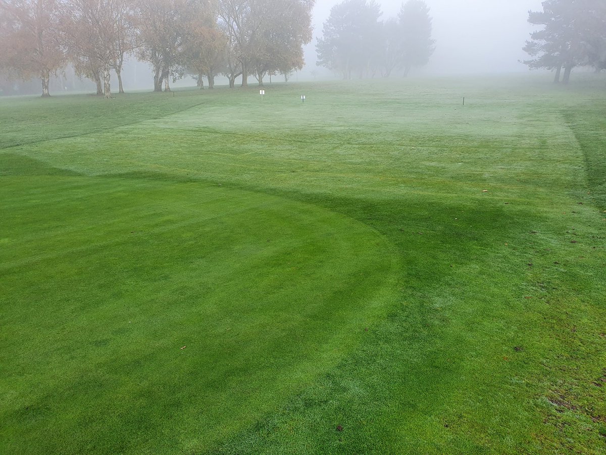 StephenMcAdams6's tweet photo. #aquarapido carlsberg don't do turf products but if they did, probably....... https://t.co/eDHLAm7HXw