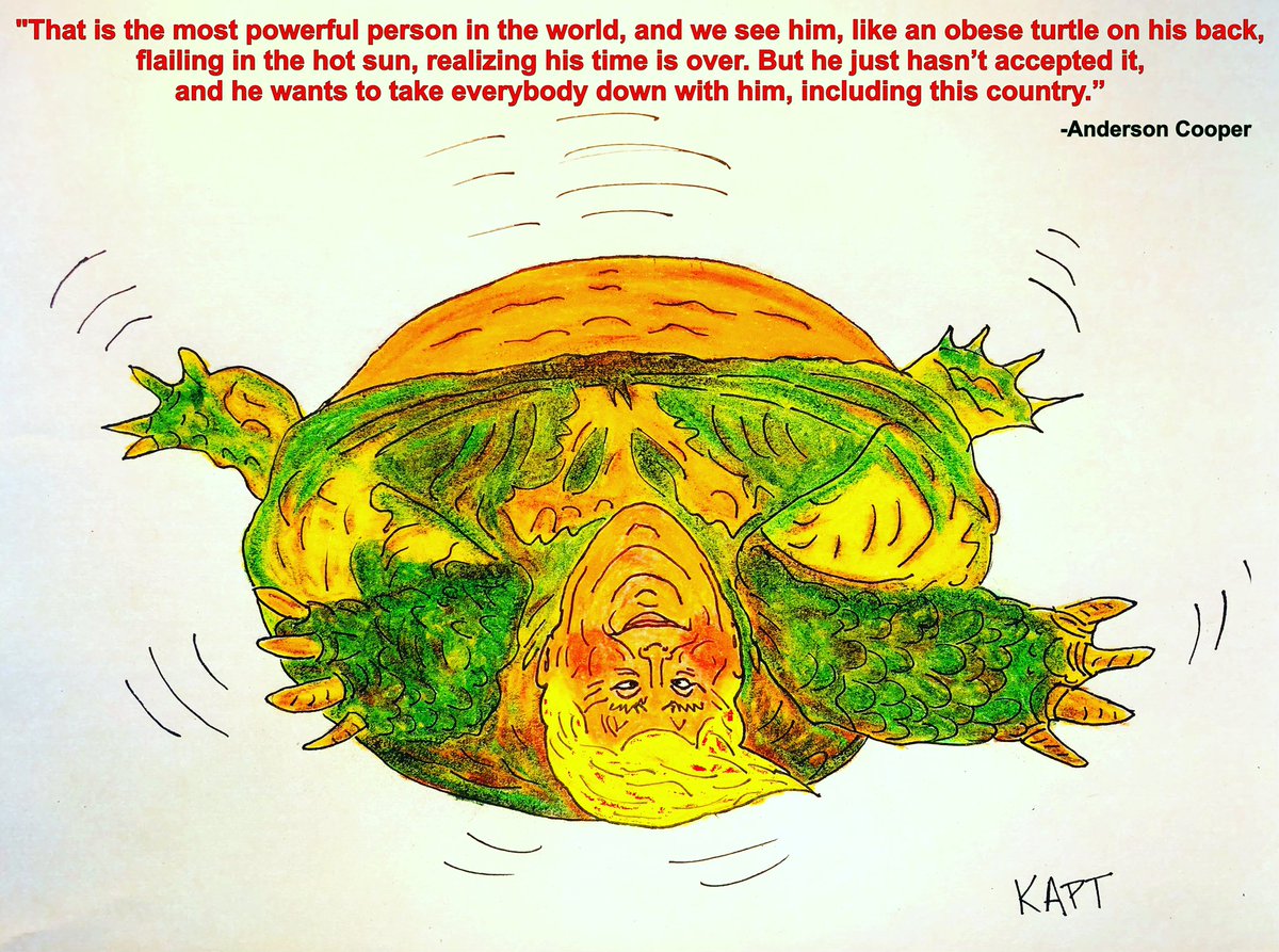 SmugVegetarian's tweet photo. Thank you @andersoncooper for the inspiration & for saying what most of us are feeling...in the best possible way EVER! #turtleonhisback #flailingObeseTurtle #flailingturtle #TurtleTrump #andersoncooper #CountEveryVote #CountAllTheVotes #BidenHarris2020 #America https://t.co/earC1OFcGP