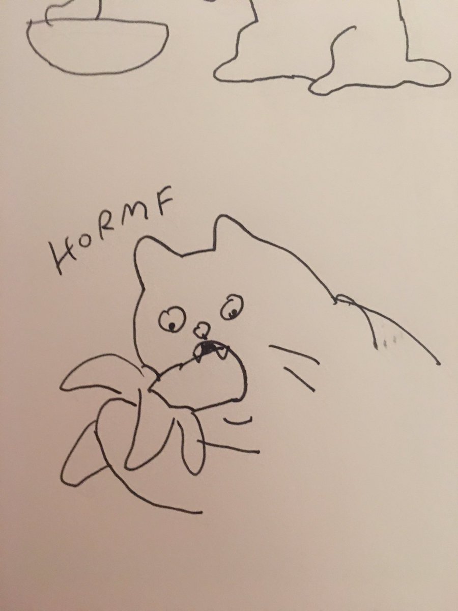 "Help my cat won't stop eating bananas" 