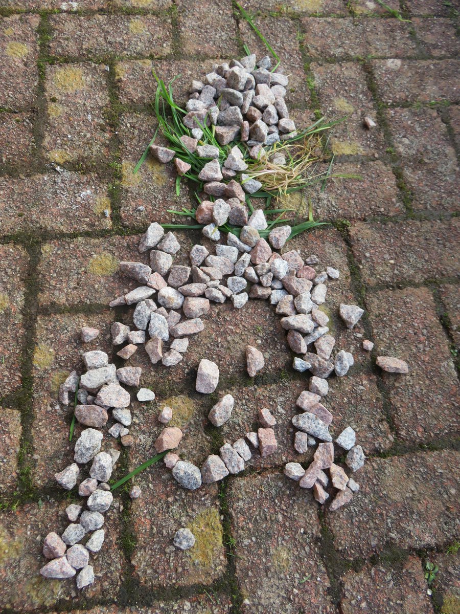 lamlashprimary's tweet photo. After a beach trip in the morning with the whole school, P1/2 spent more time outside in the afternoon as part of #OutdoorClassroomDay yesterday. We read 'The Girl with the Bird's Nest Hair' and created pictures of her and her hair! #outdoorlearning #literacyoutside https://t.co/zj6nyLQG1w