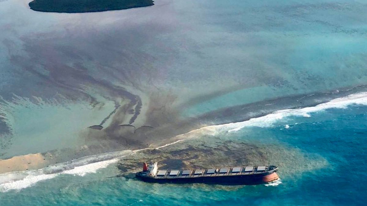 ondiekCynthia1's tweet photo. #MauritiusOilSpill harm marine life. The chemicals making up the oil are toxic to both plants and animals e.g marine forests and corals that builds up the reefs. 
@GovMauritius @Greenpeaceafric @anitasoina @WakioDorcas @erastus_wayne @Fibanda1 @kamanumbugua https://t.co/rxKN5EnqUj