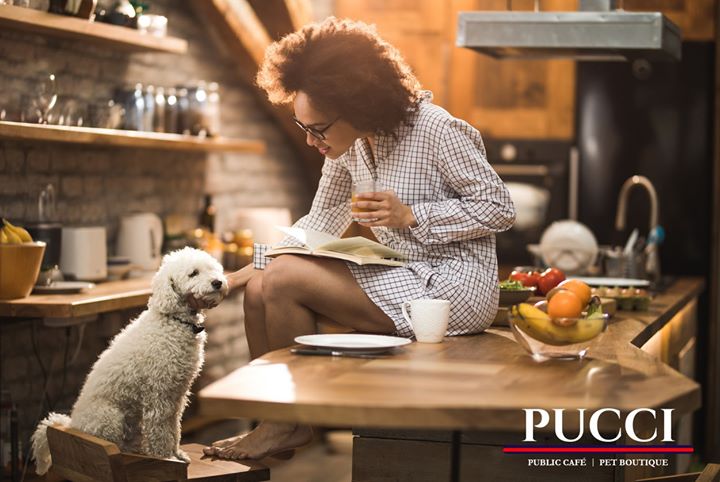 puccicafe's tweet photo. 10 Reasons Why Your Dog Won’t Eat. #dogs #food #not #eating  https://t.co/ECYuW8d6Uw https://t.co/wqQqcqCypc