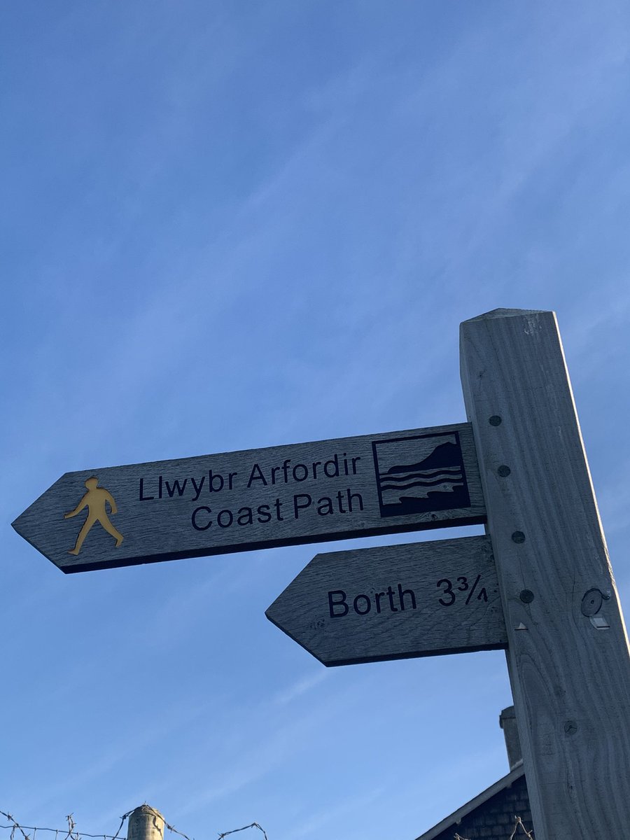 PhillipsLeyton's tweet photo. Stunning day for a walk this morning #CardiganBay https://t.co/RgIdEX8MRu