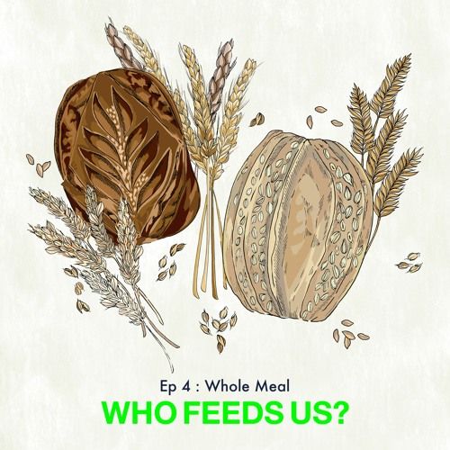 farmerama__'s tweet photo. Have you listened to ep 4 of Who Feeds Us? yet? Make sure you catch up before ep 5 is released this Sunday! https://t.co/XS6IKbi8lV https://t.co/r2HWuIYKnP