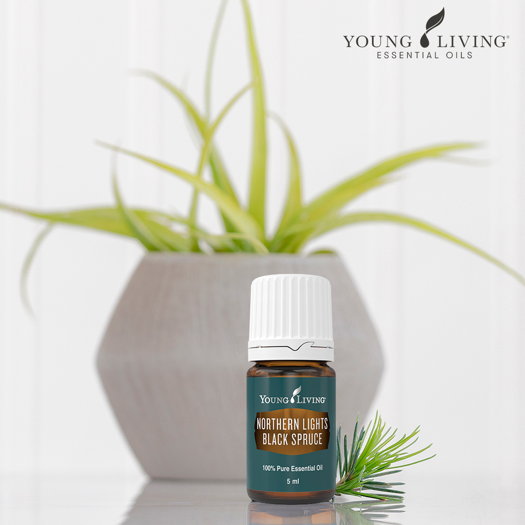 yleoeurope's tweet photo. Northern Lights Black Spruce is a rich, woodsy, and invigorating scent and great to use during meditation.

#YLTip:
Add Epsom salt and a few drops of Northern Lights Black Spruce Essential Oil to bathwater for a relaxing, aromatic experience.

https://t.co/ZRciAHJKOB https://t.co/kCxcCCwuWk