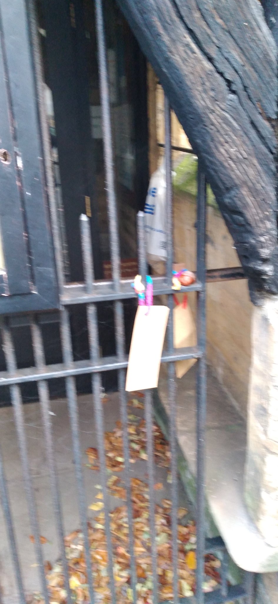 Day15 :: Kotlin  Again never written anything in it, but on my lower "maybe one day " ones (Image 2)