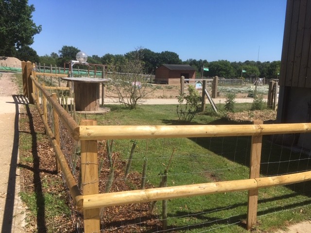 ChaileyHeritage's tweet photo. 🐓 Farm Friday - a housing update! The chickens, ducks and goose have new houses in the Chailey colours - catch up with our latest news ➡️ https://t.co/GUO6XxeN9i
.
.
.
#Sussex #DisabilityC19 #DisabilitySupport #MultiSensory #AnimalTherapy #Charity #WheelchairAccessible https://t.co/YZhf4JuWNS