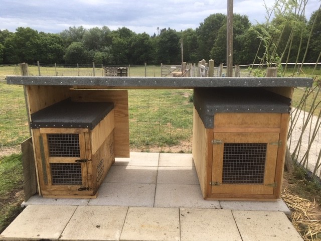 ChaileyHeritage's tweet photo. 🐓 Farm Friday - a housing update! The chickens, ducks and goose have new houses in the Chailey colours - catch up with our latest news ➡️ https://t.co/GUO6XxeN9i
.
.
.
#Sussex #DisabilityC19 #DisabilitySupport #MultiSensory #AnimalTherapy #Charity #WheelchairAccessible https://t.co/YZhf4JuWNS
