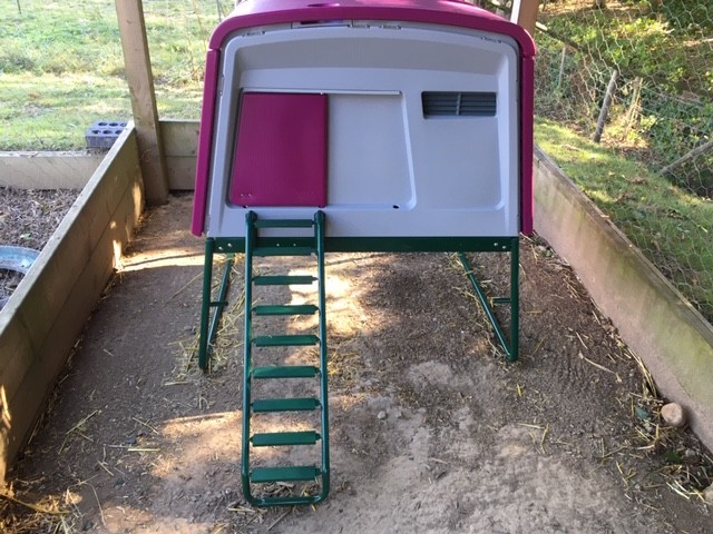 ChaileyHeritage's tweet photo. 🐓 Farm Friday - a housing update! The chickens, ducks and goose have new houses in the Chailey colours - catch up with our latest news ➡️ https://t.co/GUO6XxeN9i
.
.
.
#Sussex #DisabilityC19 #DisabilitySupport #MultiSensory #AnimalTherapy #Charity #WheelchairAccessible https://t.co/YZhf4JuWNS