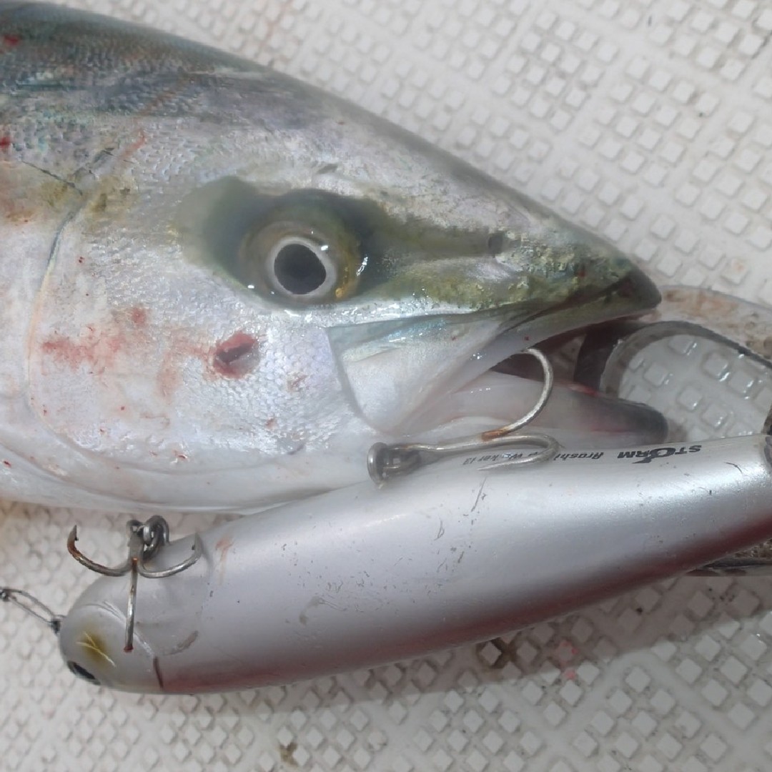 ラパラジャパン Arashi Rattling Top Walker アラシ ラトリントップウォーカー シーバス 青物でも大活躍 ロッドでアクションではなくリーリングでもアクションを付けれる Angler Ozapy333 ラパラ ラパラジャパン ストーム アラシ トップ