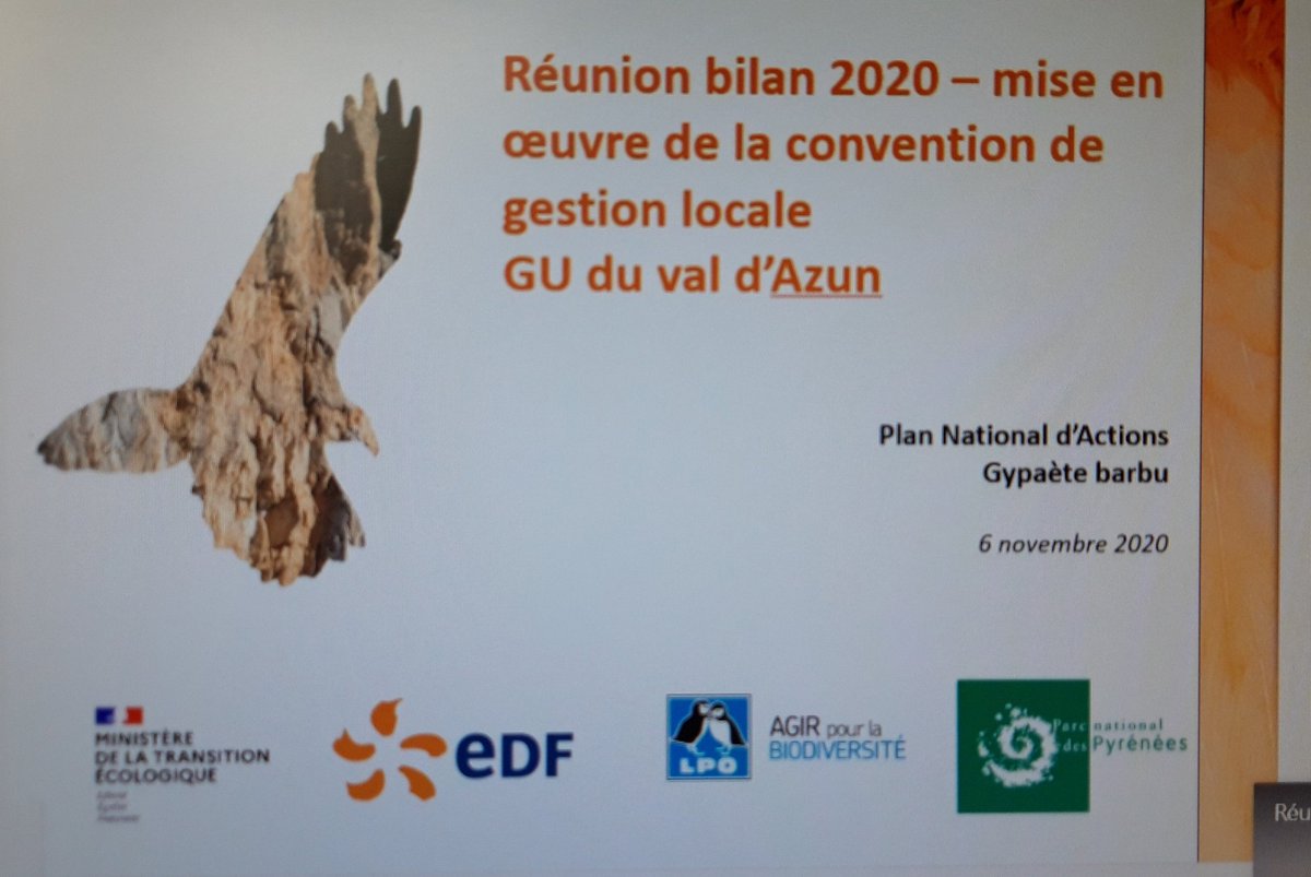 CastanRoi's tweet photo. Bilan annuel convention #LPO/#PNP/#EDFHydro
Malgré le confinement tous présents pour une conf annuelle sur nos relations pour la préservation du #Gypaète. Bon bilan 2020 avec l'envol d'un jeune du couple du lac d'Estaing. https://t.co/FVIoP5SxzC