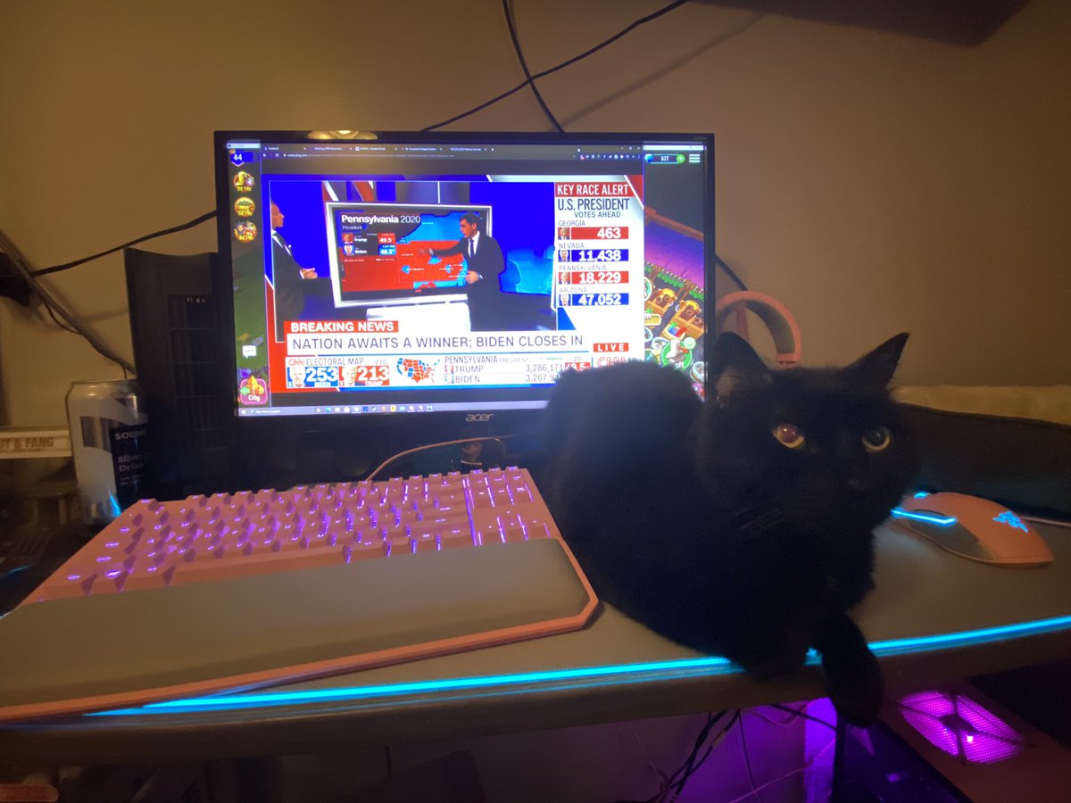 MrsBaltes's tweet photo. @baltes I see your #spacecat and raise you an #electioncat https://t.co/mwaCUI0GMa