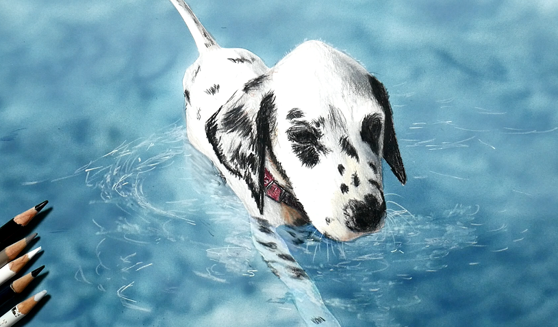 Sonna Kanji そんな感じ 色鉛筆で泳ぐダルメシアンを描きました 犬は泳ぎが可愛い W ノ 色鉛筆画 ダルメシアン 動物イラスト イラスト好きさんと繋がりたい 絵描きさんと繋がりたい T Co Dxhib7pjap Twitter Sonna Kanji そんな感じ 色鉛筆で泳ぐダルメシアンを描きました 犬は泳ぎが可愛い W ノ 色鉛筆画 ダルメシアン 動物イラスト イラスト好きさんと繋がりたい 絵描きさんと繋がりたい T Co Dxhib7pjap Twitter