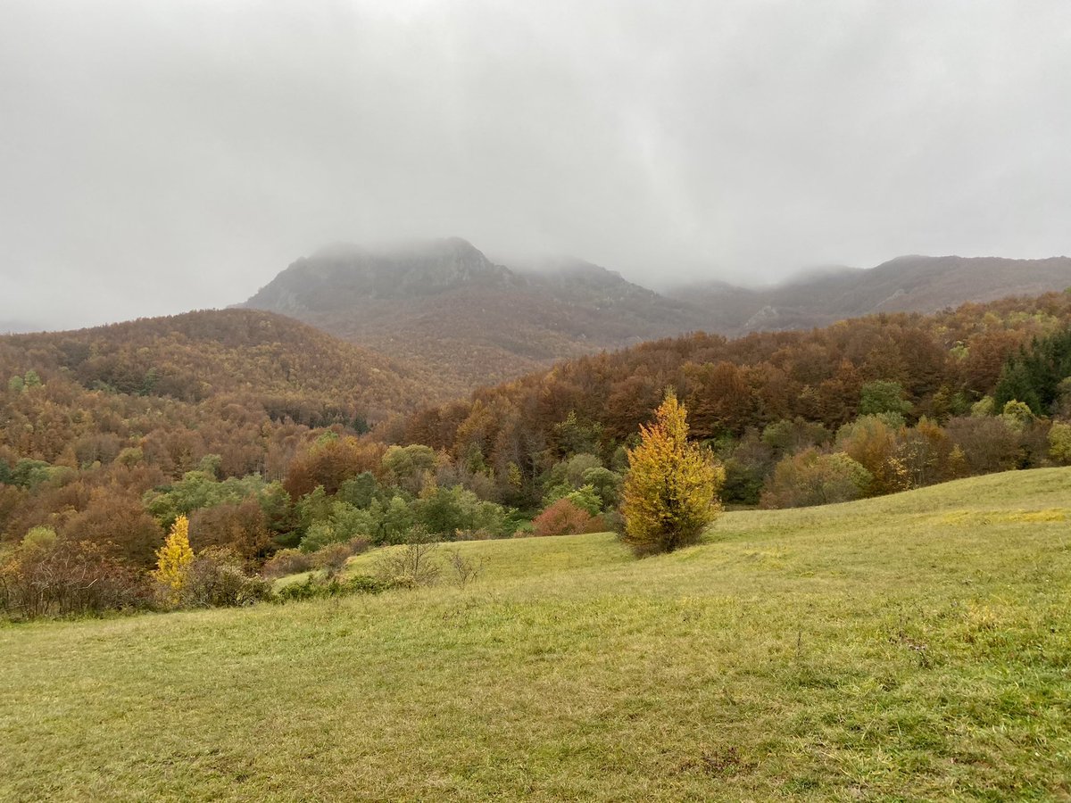 marco_bale's tweet photo. Seguiteci alla scoperta dell’anello Ciapa Liscia/Valle Tribolata⛰, scenario suggestivo e poco conosciuto a cavallo tra Emilia e Val d’Aveto🍁🍂🍃. Domani sera(sabato) alle 21 su 12TvParma 
#trekking #nofilter #mountain #appennino #ferriere #piacenza #Parma https://t.co/K4cWQb6Pca