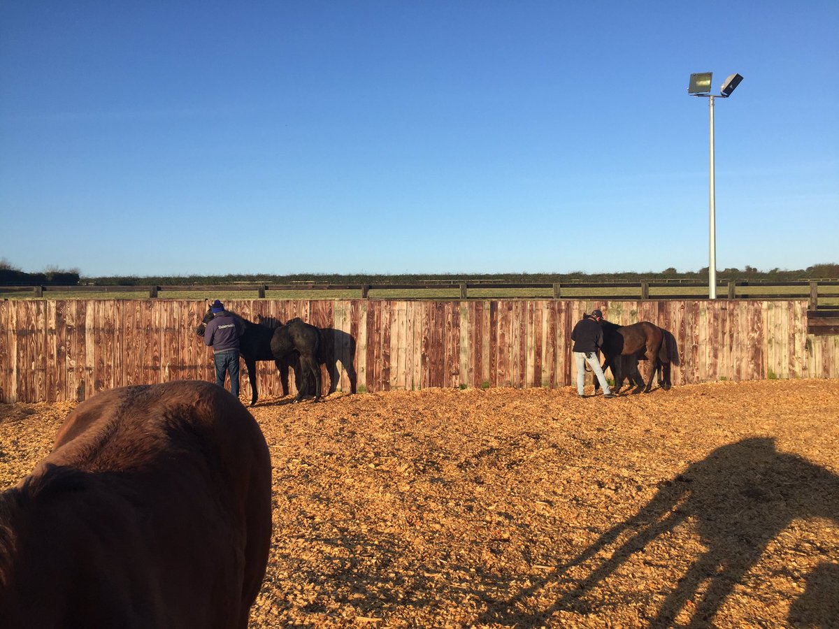 Aislingkinane's tweet photo. What a morning @castlefarmstud #foalprep https://t.co/ByeuR7rhEa