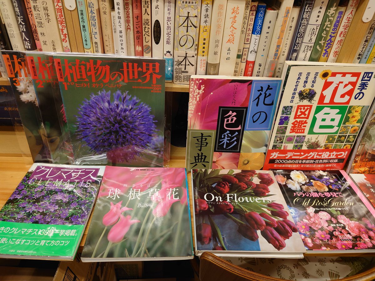 ট ইট র 弥生坂 緑の本棚 今日は 多めに花 植物関連の古書入荷あります 朝日週刊百科 植物 の世界 花色図鑑 フラワーデザイン 水草 1997年のブルータス ガーデニング特集も面白いです 草月教材は昭和57年版 勅使河原蒼風 霞 クレーの絵本 星の