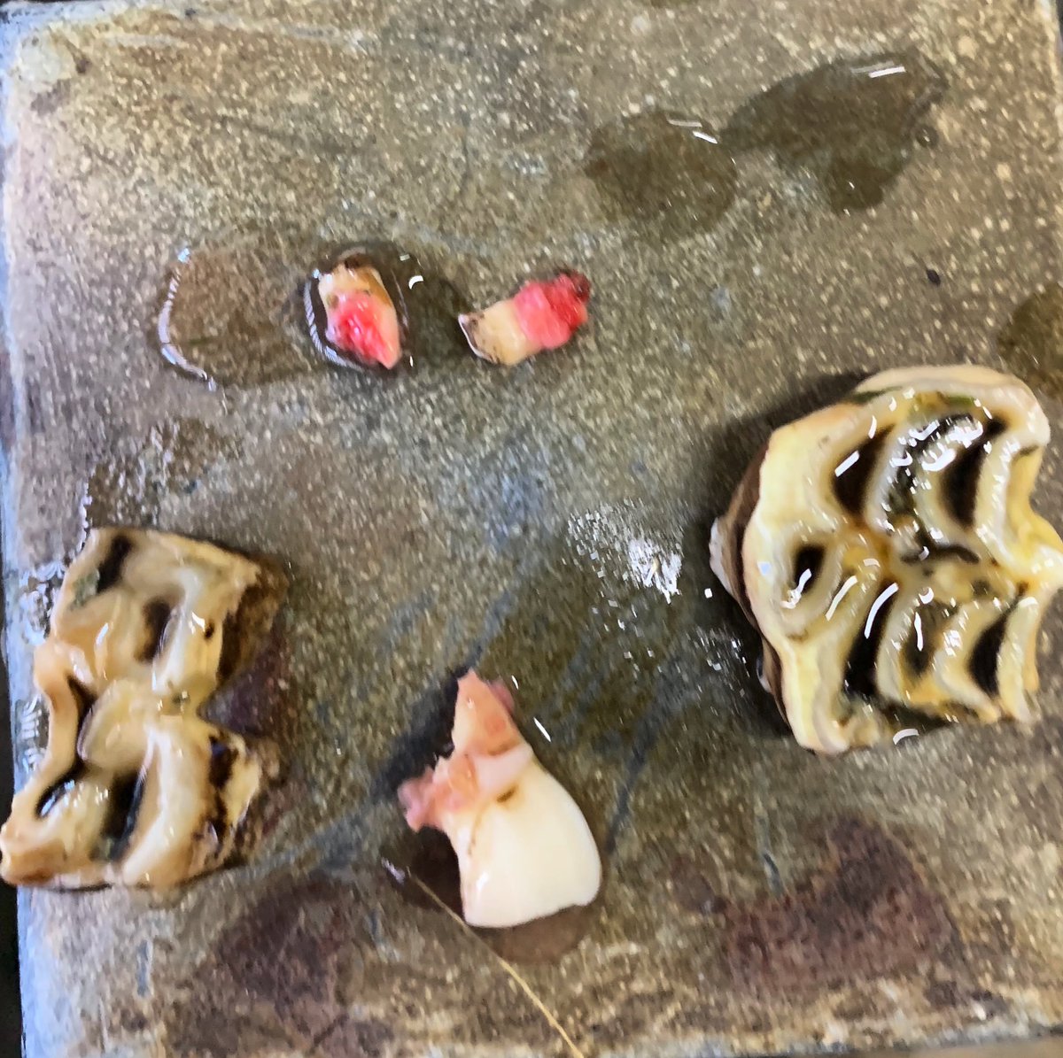 When the equine tooth fairy gets #lockdown #stircrazy 😂
All of the below teeth came from our 3 year old Parkfield Posy.....shows the importance of regular dental visits for our horses. Posy is going to feel a lot more comfortable when she’s backed in the near future 🦷🐴🦷🐴🦷🐴