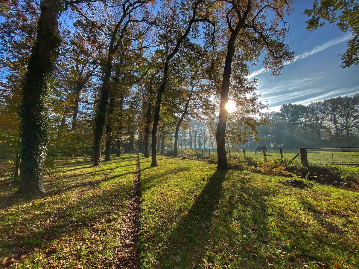 fotografierick's tweet photo. Landgoed Vosbergen in Heerde. #FotografieRickWesterink @OnzeVeluwe https://t.co/LIo8FTKY3Y
