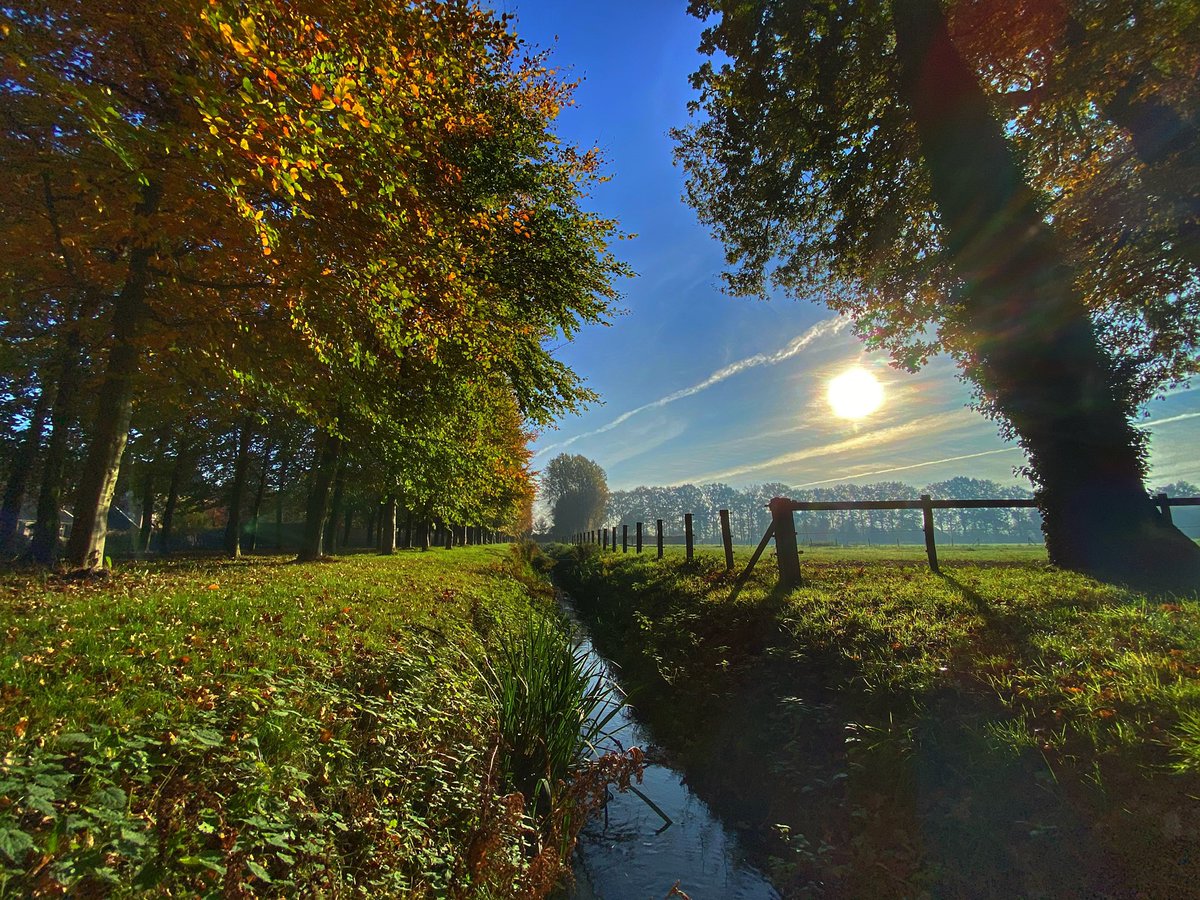 fotografierick's tweet photo. Landgoed Vosbergen in Heerde. #FotografieRickWesterink @OnzeVeluwe https://t.co/LIo8FTKY3Y