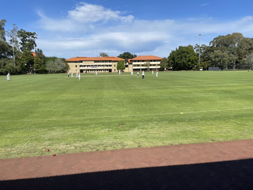 kagij's tweet photo. Back to back. Another big win for the WA Press Gallery in our Pollies v Press cricket match. Thanks to @uwanews for hosting us. I did my bit by obliterating both my elbows while falling off my bike, making room for better players #perthnews https://t.co/IAlIMk84Tr
