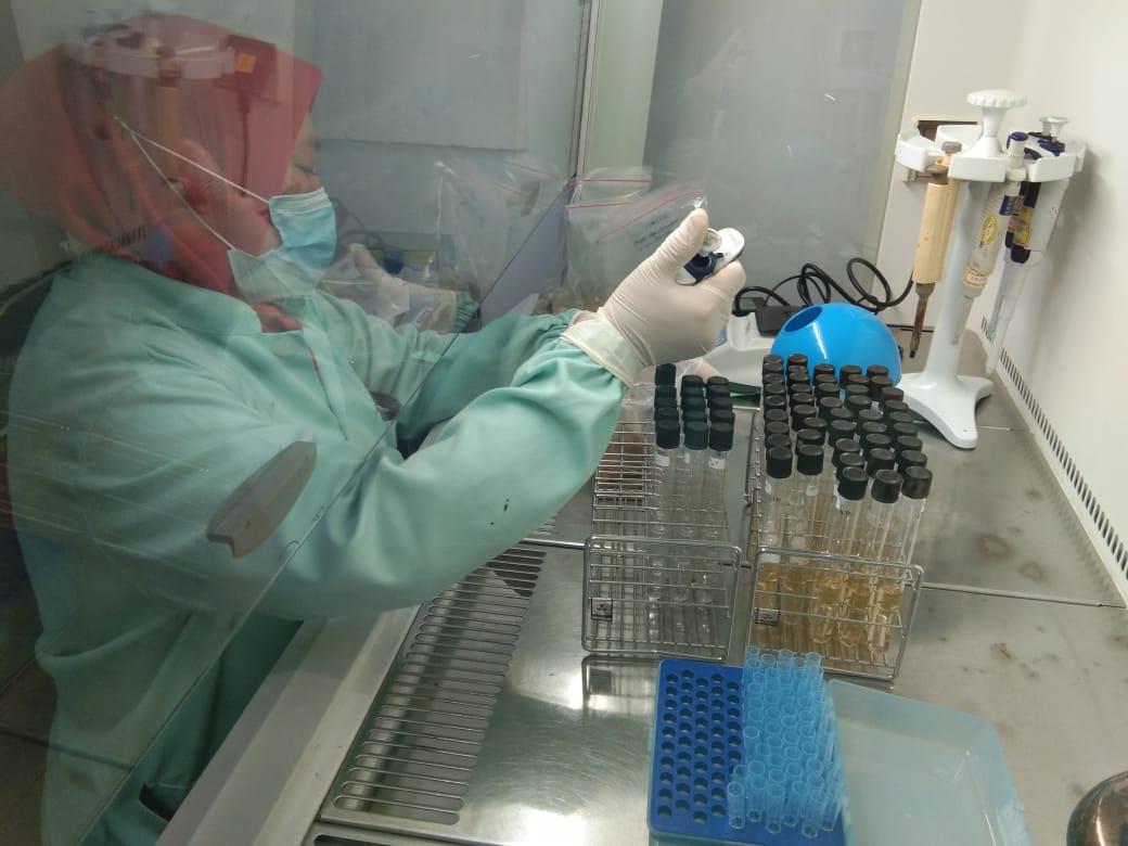 BPPMHKPMakassar's tweet photo. 06/11/2020
Pengujian mutu parameter E.coli dengan menginokulasi dari larutan pengencer bertingkat Butterfield's phosphate buffer ke media LTB pada produk fresh demersal, fresh pelagic, Dried sea cucumber, Dried shark Fin, Frozen sea cucumber dan Dried fish mau
#OneHealthKIPM https://t.co/mExAV2RDbo