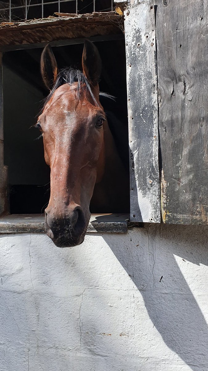 Lydia Richards Racing tweet media