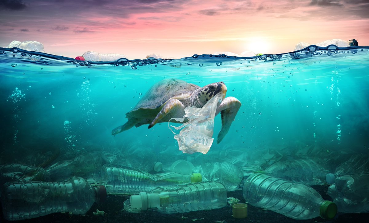 Sea_Sand_Man's tweet photo. Did you know? By the year 2100, without significant changes, more than half of the world’s marine species may stand on the brink of extinction 🙁

#marinespecies #marinelife #biodiversity #beachprotection #sustainability #researchproject #sea #Malta #gozo #italy #projectBESS https://t.co/vQFO75LFCi