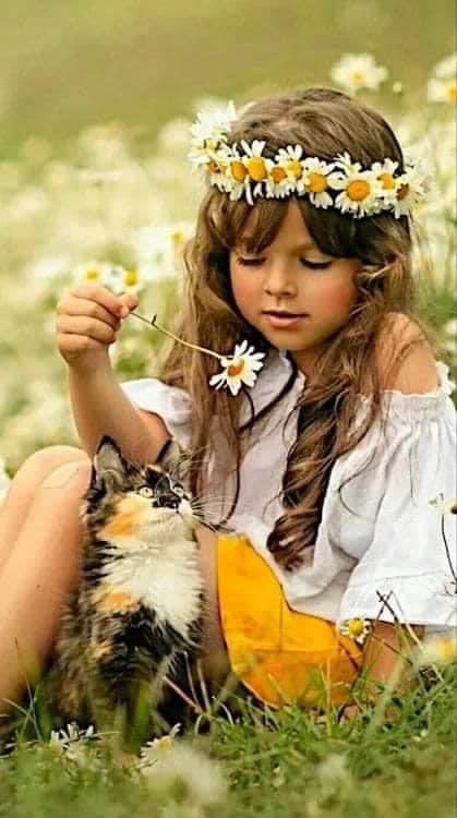 serpilsultan8's tweet photo. @hzpollyana15 🍁🍁 https://t.co/IUZkApa8SV