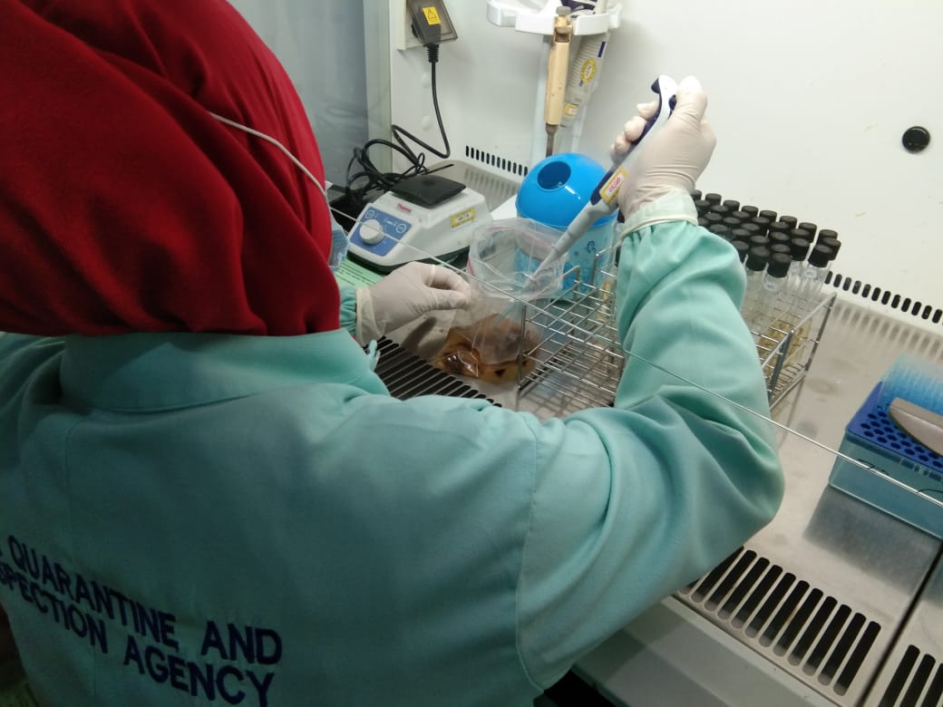 BPPMHKPMakassar's tweet photo. 6/11/2020 
Pengujian mutu parameter Salmonella dgn memipet dari larutan LB sebanyak 0,1 ml RV dan 1 ml TTB pd produk Frozen cephalopod, Frozen pelagic, Frozen demersal, Frozen tuna, Frozen shrimp dan Dried sea cucumber
#OneHealthKIPM @rinajanwar2201 @IdjahChadidjah @HumasBKIPM https://t.co/Zg8Y44oAfG