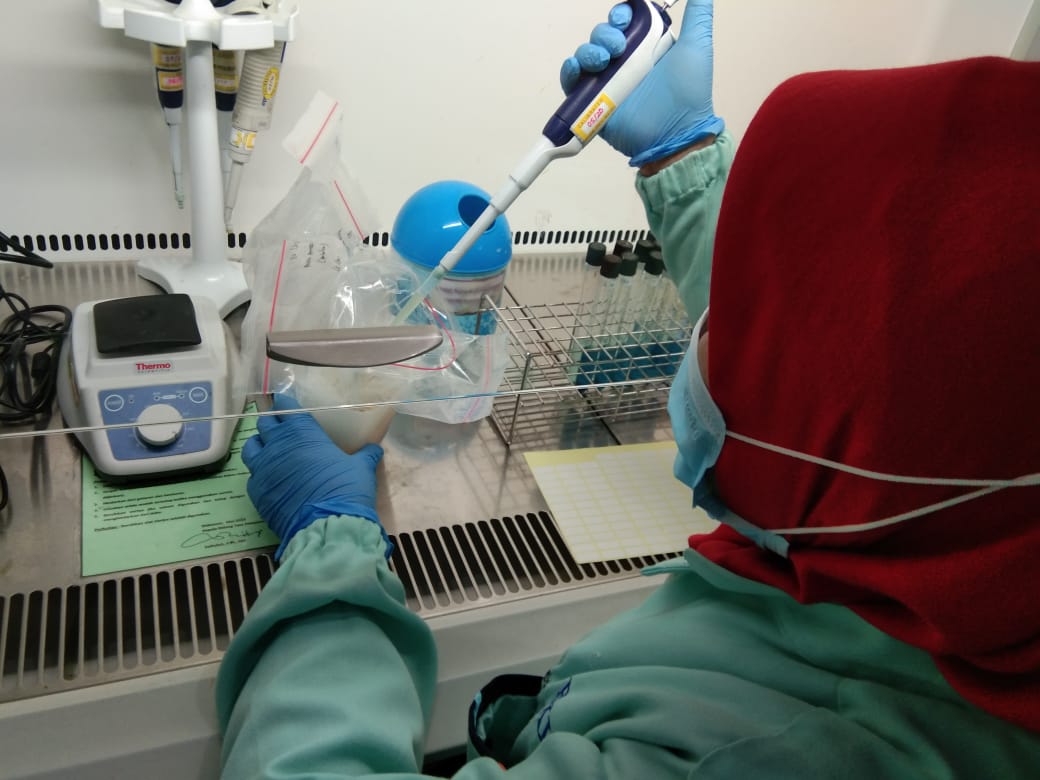 BPPMHKPMakassar's tweet photo. 6/11/2020 
Pengujian mutu parameter Salmonella dgn memipet dari larutan LB sebanyak 0,1 ml RV dan 1 ml TTB pd produk Frozen cephalopod, Frozen pelagic, Frozen demersal, Frozen tuna, Frozen shrimp dan Dried sea cucumber
#OneHealthKIPM @rinajanwar2201 @IdjahChadidjah @HumasBKIPM https://t.co/Zg8Y44oAfG