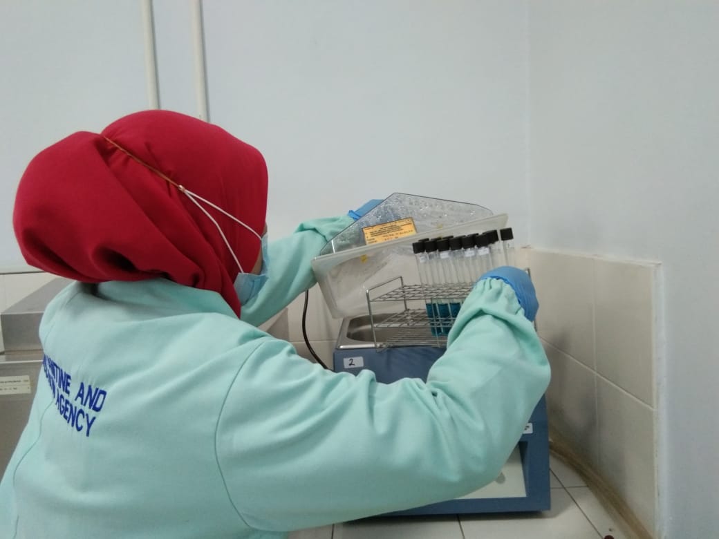 BPPMHKPMakassar's tweet photo. 6/11/2020 
Pengujian mutu parameter Salmonella dgn memipet dari larutan LB sebanyak 0,1 ml RV dan 1 ml TTB pd produk Frozen cephalopod, Frozen pelagic, Frozen demersal, Frozen tuna, Frozen shrimp dan Dried sea cucumber
#OneHealthKIPM @rinajanwar2201 @IdjahChadidjah @HumasBKIPM https://t.co/Zg8Y44oAfG