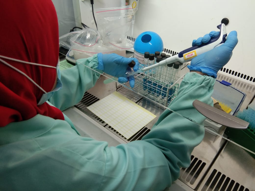 BPPMHKPMakassar's tweet photo. 6/11/2020 
Pengujian mutu parameter Salmonella dgn memipet dari larutan LB sebanyak 0,1 ml RV dan 1 ml TTB pd produk Frozen cephalopod, Frozen pelagic, Frozen demersal, Frozen tuna, Frozen shrimp dan Dried sea cucumber
#OneHealthKIPM @rinajanwar2201 @IdjahChadidjah @HumasBKIPM https://t.co/Zg8Y44oAfG