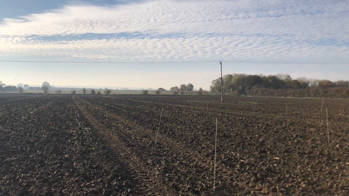A gorgeous day to be out doing application trials! Felt at times a day like this would never come. More #3D90 work and further trials work to ensure #Sprayassist is always up to date! @SyngentaCropsUK