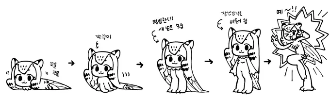 몸통이 다시 자라는 과정
이름 에니스 
