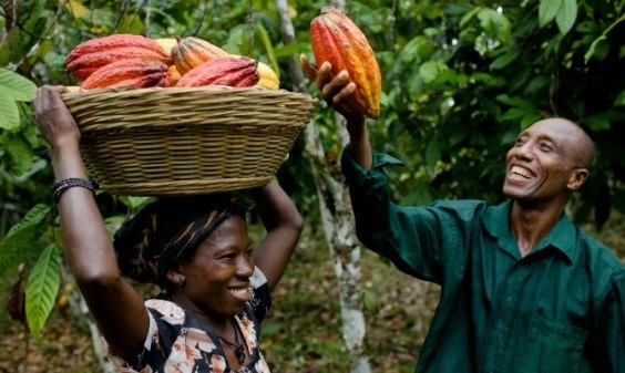 AcetforAfrica's tweet photo. Our #ATR2017 stated that "for many countries, #agriculture presents the easiest
path to #industrialization and #economic #transformation." #Farmers remain the driving force behind this agenda and we celebrate the hard work of #farmers in ๐ฌ๐ญ. Ayekoo to all #farmers!!!
#farmersday https://t.co/0ncn8oCUXM