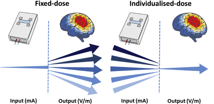 cimec_unitrento's tweet photo. TBS workshop 3-4 Dec 2020 https://t.co/Uio8Wpdk5y
@bestmannlab will discuss the need and possible solutions for dose control for #tdcs #tacs to reduce variable outcomes
#cimecunitrento #TBSworkshop https://t.co/U0IrLXkYi6