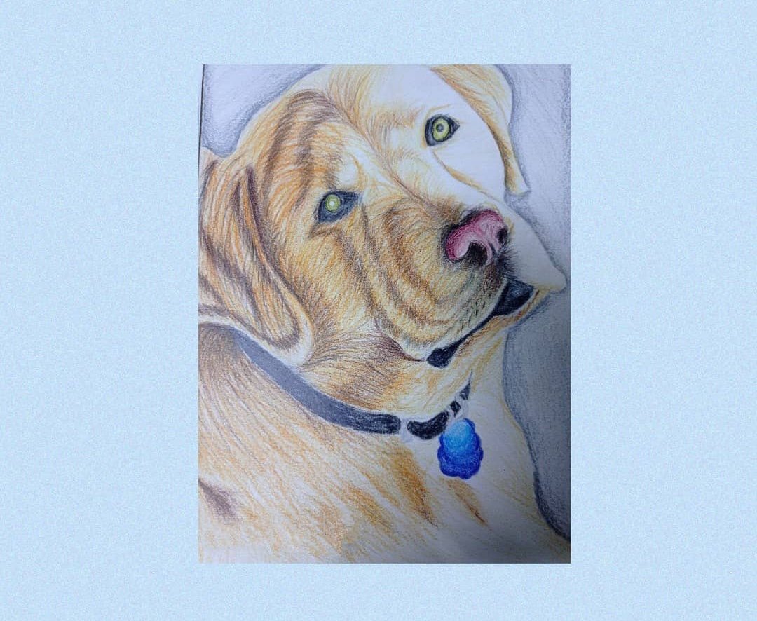 creassic2's tweet photo. A Dog- The cutest animal!!😘😘
.
.
Done by: @mpunya541 
.
@dog_rates
@dog_feelings
.
LIKE, SHARE AND COMMENT✌️❤️❤️
F// @creassic2 for more artworks !!!❤️❤️
.
.
#apartmenttherapy #rosequartz #galleryart #artislife #publicart #pixelart  #natureart #dogsoftwitter #doggie #doglovers https://t.co/qTWeu66mYe