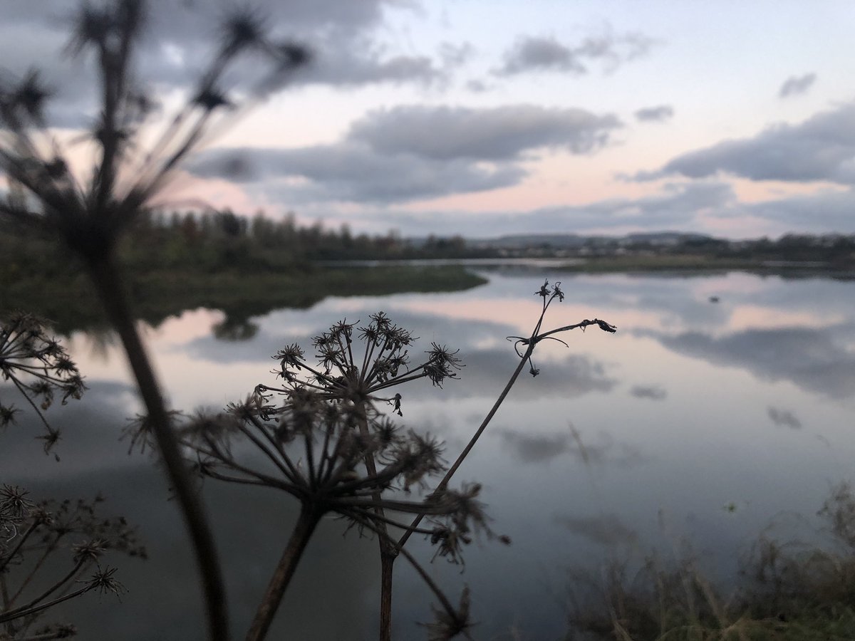 SiobhanAherne's tweet photo. ‘Just feel the magic in the air and the power in the breeze, Feel the energy of the plants, the bushes and the trees, Let yourself be surrounded by nature at its best, Calm yourself, focus, and let magic do the rest.’ ~ Sally Walker ~ #earlymorningmagic #myhometown https://t.co/N4rNyV7hbn