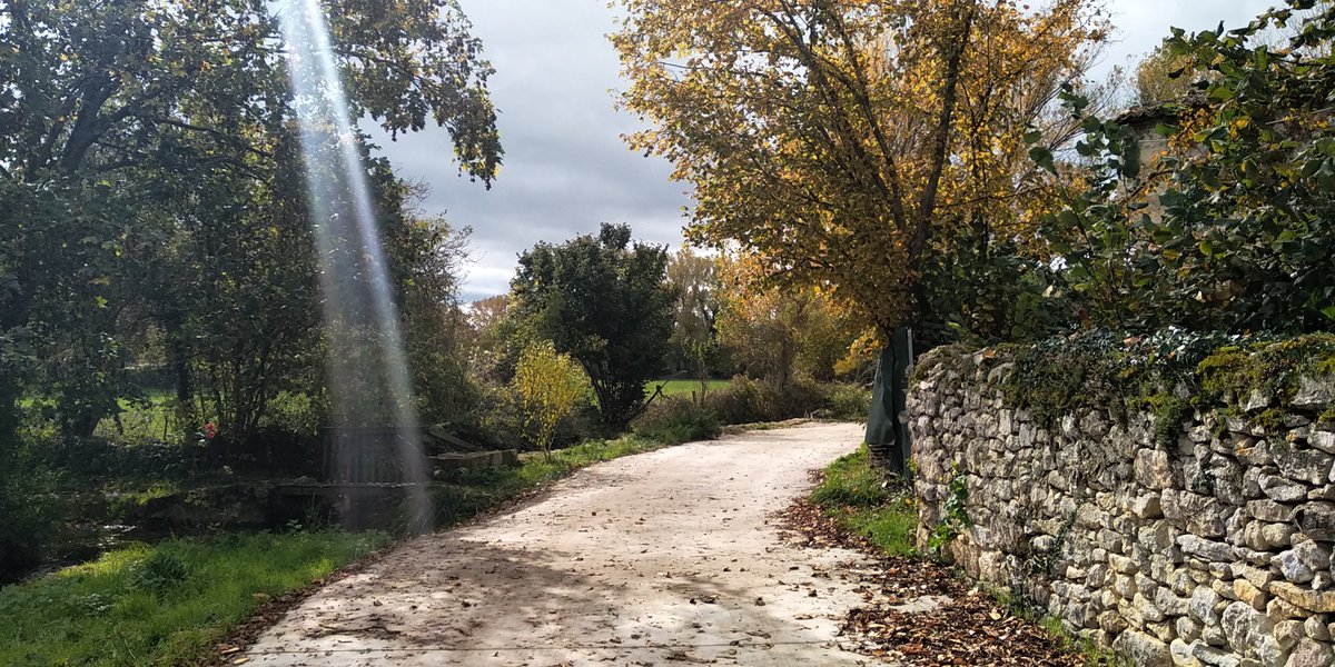 deustoNeuroLab's tweet photo. Sigamos el camino...💪🏻🌞

Bidea jarrai dezagun...💪🏻🌈

Let's follow the path...💪🏻⛅️

#Ostirala #Friday #Viernes #FelizFinde #AsteburuOnaIzan #HappyWeekend #azaroa #November #noviembre #udazkena #otoño #Autumn https://t.co/26oONbjPoD