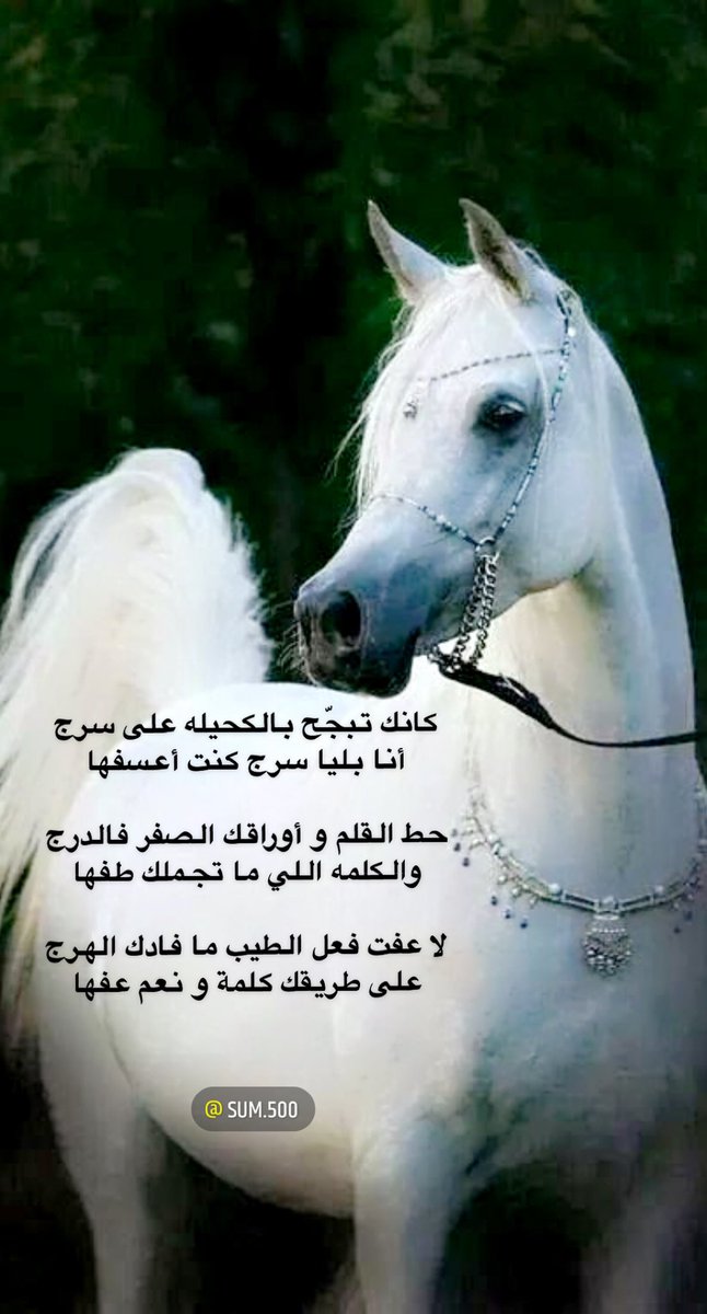 abosaud1970's tweet photo. #ع_المطوع 

كانك تبجّح بالكحيله على سرج
أنا بليا سرج كنت أعسفها https://t.co/i59NnWpMmM