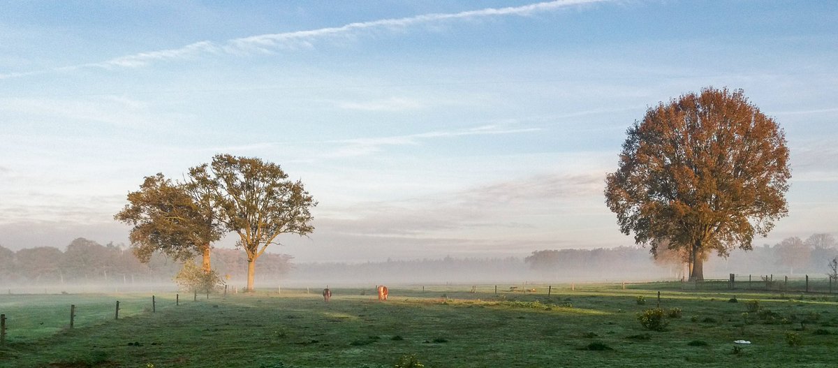 Ochtendzonnetje en -nevel in #Okkenbroek. Da’s lekker wakker worden!