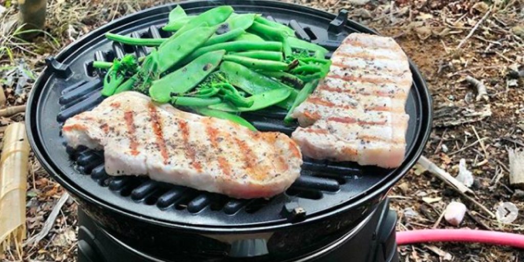 CadacUK's tweet photo. Meanwhile Bruce Lauderdale is showing us how it's done on the Safari Chef 2. Pork chops and some tasty veg! π₯©
#BBQ #foodie #veggies #meat #safarichef https://t.co/Cnanj3SzOw