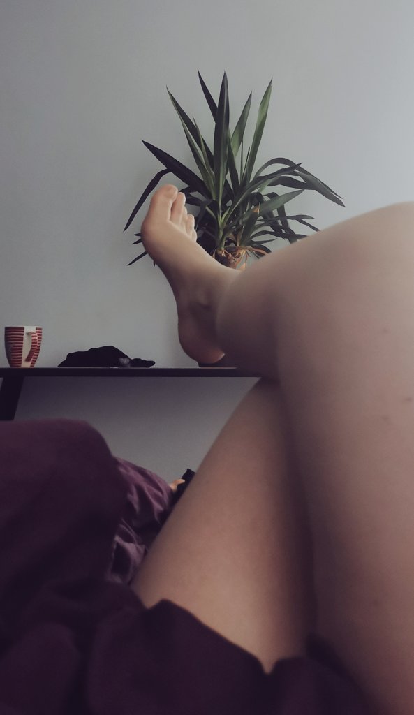 TwojaPaniM's tweet photo. Dzień dobry kundle... Który będzie dzis przydatny? 🤑 https://t.co/ALbyk0ErIn