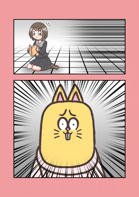 2/2 