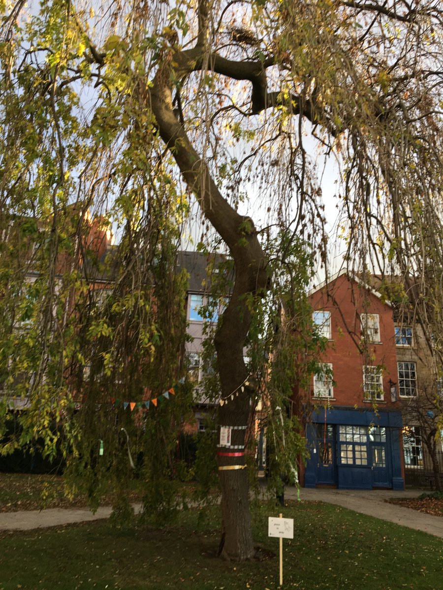 Prayer Tree outside Rotherham Minster, a sign of hope during lockdown, please come and tie a ribbon on our tree to symbolise your prayers #prayers #pray #hope #prayertree #churchofengland #dioceseofsheffield