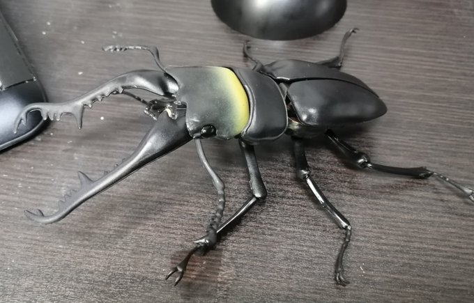 ギラファノコギリクワガタ
海外のクワガタって大体こんな大きさでは? 