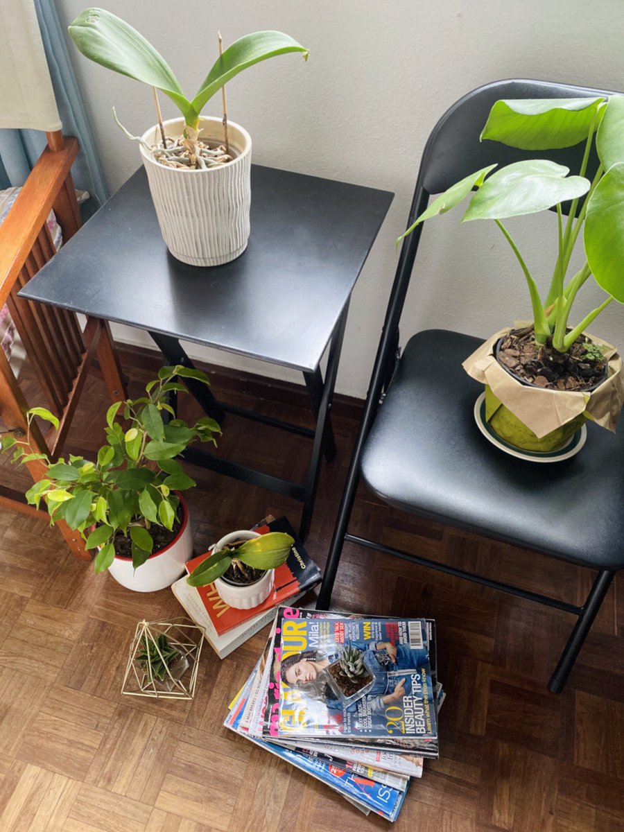 Lelo Dube tweet media