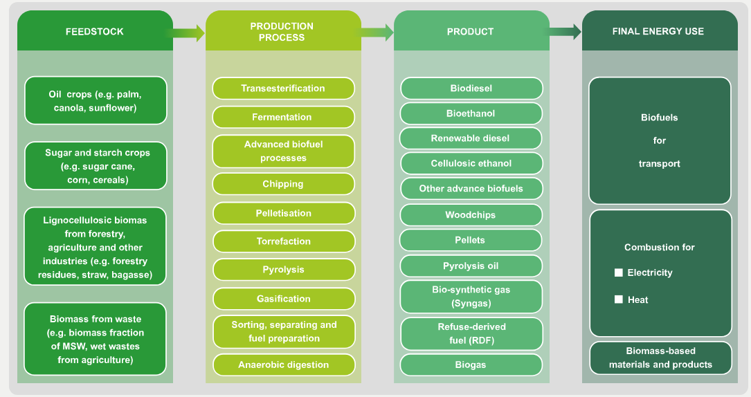 IEABioenergy's tweet photo. Just a few decades ago, there was a reluctance among some 2 accept #bioenergy as a solution 2 #climatechallenge. Today, as an energy source, #biomass is flexible, is a key contributor 2 heating &amp; is increasingly playing a role in transportationsystems too. https://t.co/9foeUr3MLN https://t.co/Mi1OSshzPV