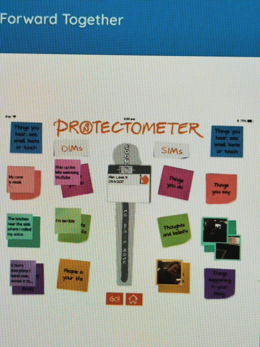 Catheri23903003's tweet photo. A protectometer- love it. DIMS and SIMS. The power of words. David Butler at his brilliant best as usual #physiolegend #iscpconf20 https://t.co/vZVrrYrV0r