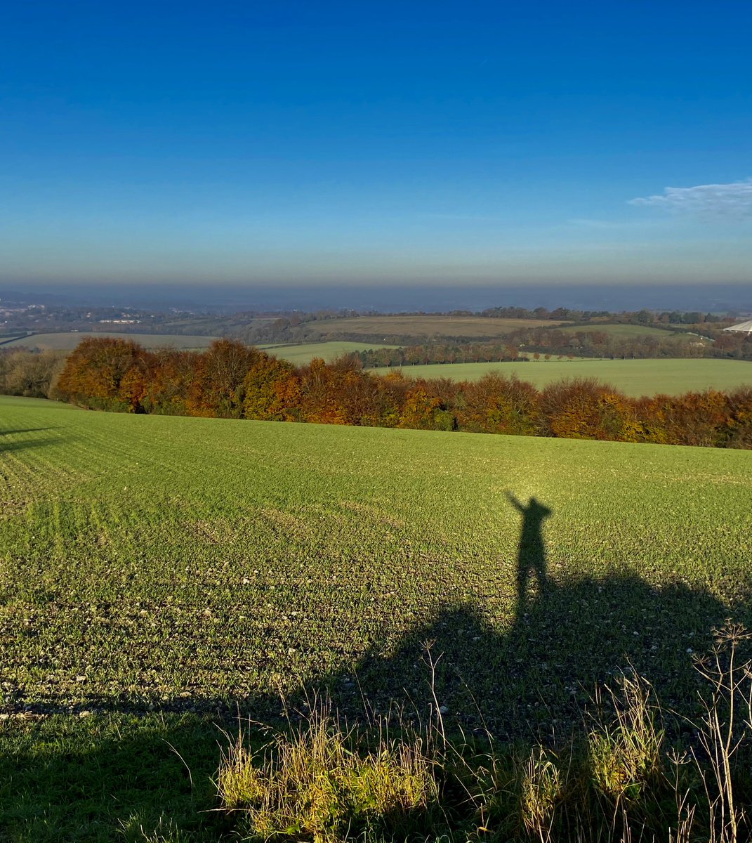 MandyHickson's tweet photo. Morning world!!!! #Winchester #cheesefootHead #southdownsway https://t.co/mgdm6BDSCG